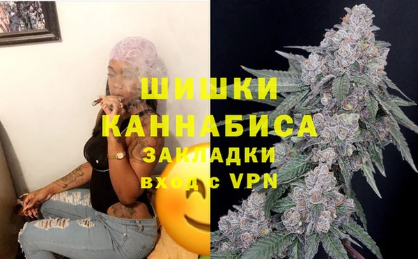 ECSTASY Ладушкин