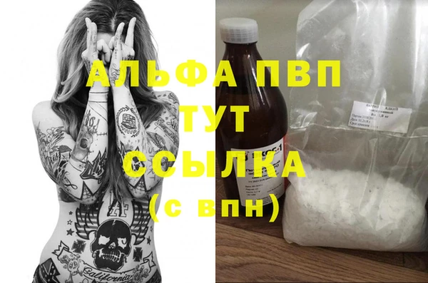 ECSTASY Ладушкин