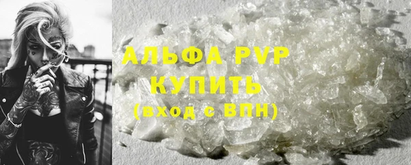 ECSTASY Ладушкин